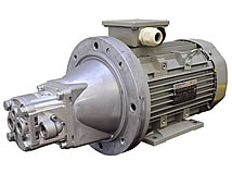 Motor-Pumpen-Kombination