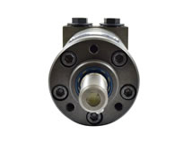 Detailansicht Langsamlaufender Hydraulikmotor (Zahnringmotor) Typ: OMM - seitlich