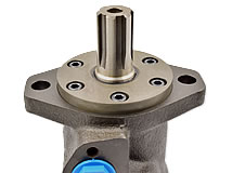 Detailansicht Hydraulikmotor (Zahnringmotor) Typ: OMP