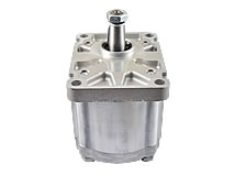 Draufsicht schräg Zahnradpumpe (italienischer „Plessey“-Flansch)