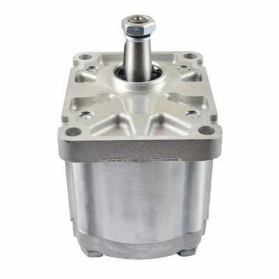 Detailansicht Zahnradpumpe (italienischer Plessey-Flansch)