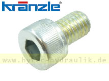 Schraube M 8 x 12 40122 für KRÄNZLE K1152TST