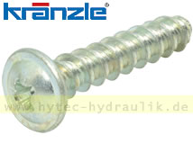  Kunststoffschraube 6 x 30   434231 für KRÄNZLE THERM-895