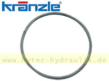  Dichtung für Deckel Übertemp.   441821 für KRÄNZLE THERM-1165