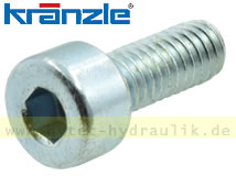  Schraube M 4 x 10   46002 für KRÄNZLE THERM-895