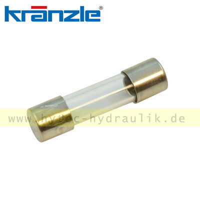 44889 Feinsicherung 5x20 1,0A tr&auml;ge - Kr&auml;nzle Original