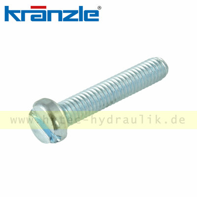 Kr&auml;nzle 15025 Zylinderschraube M 4 x 20 mit Schlitz