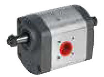 Pumpe G278941100 für FENDT 106