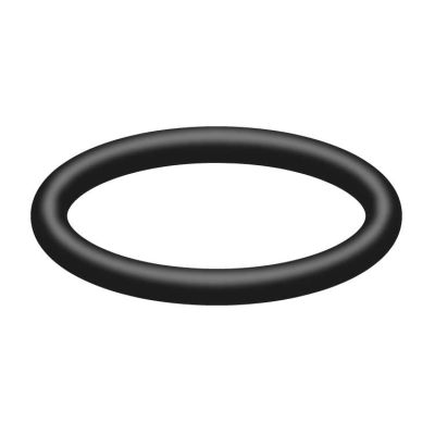 050000300 O-Ring von R+M / Suttner