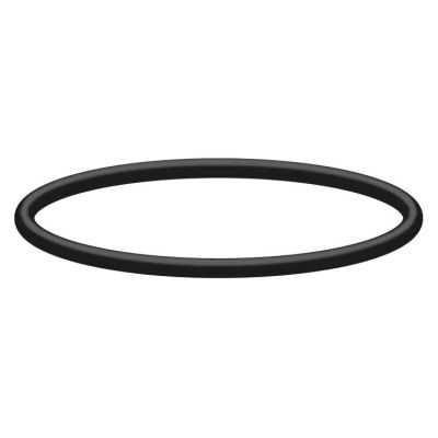 7901177262100 O-Ring 10,77x2,62 (100 St&uuml;ck) von R+M / Suttner